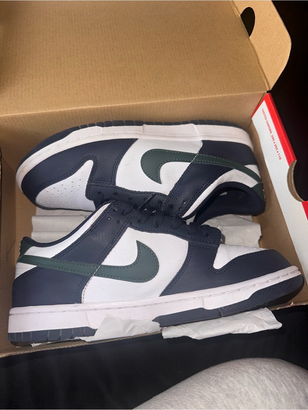 Nike Low-Top Sneakers in Navy, White & Forest Green